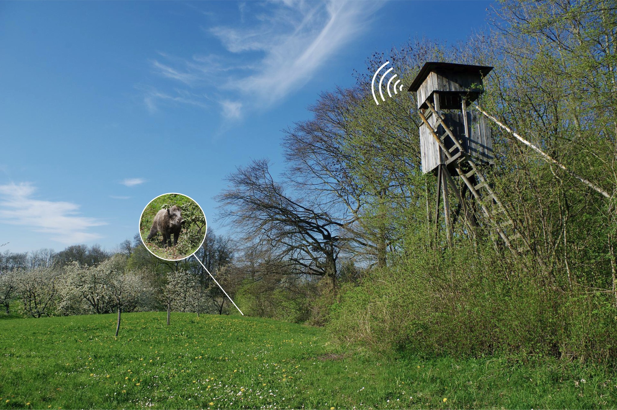 Empfänger Wildkamera / Melder