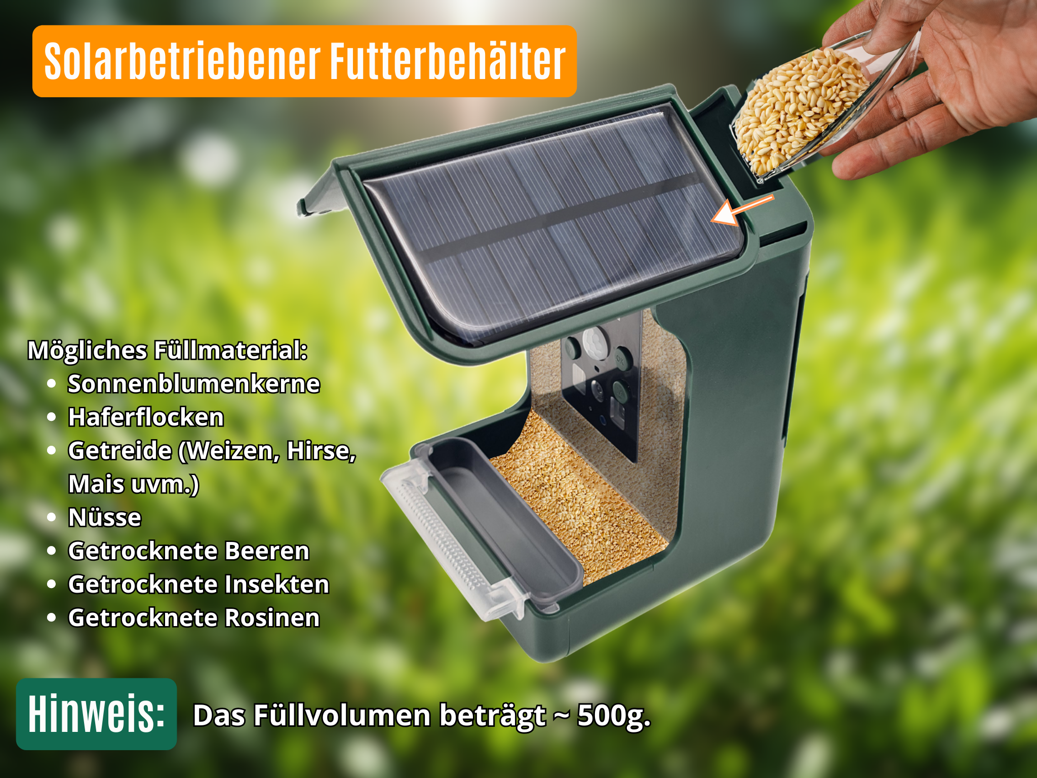 Vogel-Futterhaus mit Kamera und Solar